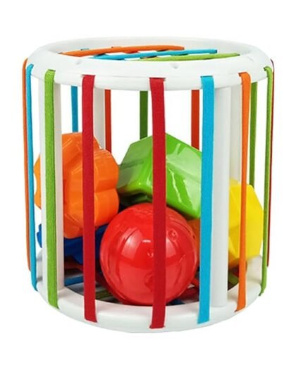 ILSMYSUTRA ®Sensory Bin Activity Developmental Toys for Children Toddlers 6 12 18 Months | Developmental Baby Toys